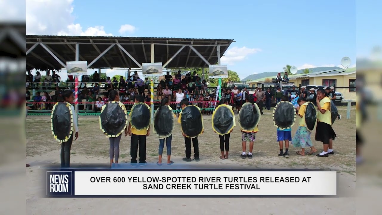 OVER 600 YELLOW SPOTTED RIVER TURTLES RELEASED AT SAND CREEK TURTLE FESTIVAL