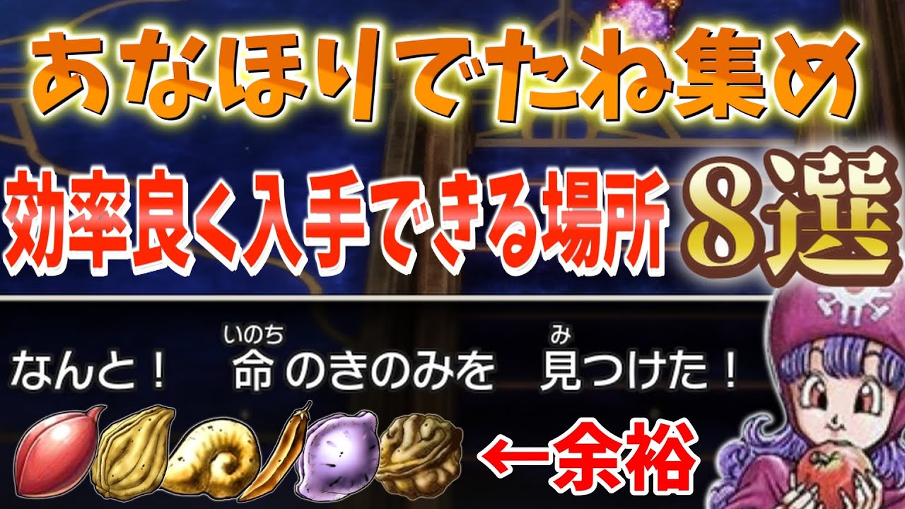【ドラクエ2】あなほり最強！たね集めを効率良く集める方法とおすすめスポット8選！1000回あなほり検証してみた結果…【攻略】【解説】【たね集め】【あなほり】