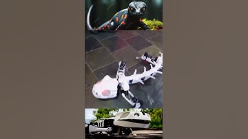 ANIMAL ROBOT SALAMANDER: #shorts  #shortvideo  #robotics