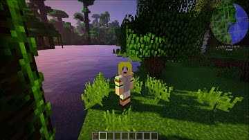 CNPC Tutorial 01 Skins and Implementation