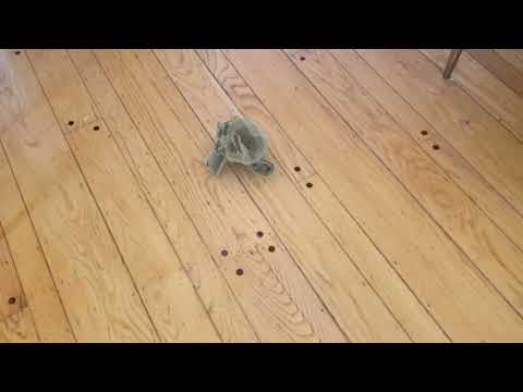 A first attempt at motion tracking - Blender