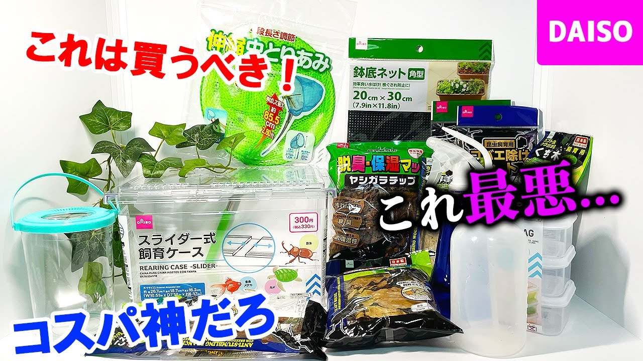 この夏ダイソーで買うべき昆虫グッズはこれです