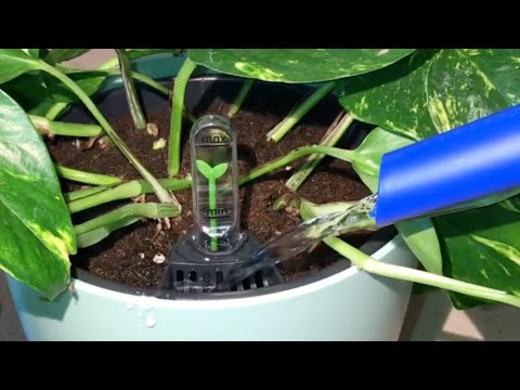 Elho Self Watering Insert Tutorial You - Diy Self Watering Planter Insert Elho Self Watering Insert Tutorial You - Diy Self Watering Planter Insert