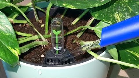 Elho Self-watering Insert Tutorial