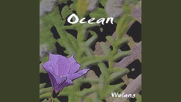 Thumbnail of Brolga (Crane)