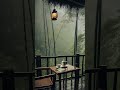 Relaxing Jungle Rain & Nature Sounds 🎧🌿 #natureshorts #peacefulnature #nature #travel