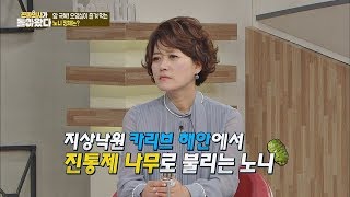 (노니) 일명 '진통제'라 불리는 만병통치약♭ 진짜 의사가 돌아왔다 26회