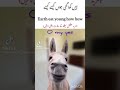 know coment in a goed inglish#shortsvideo #kdrama #song