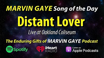Marvin Gaye Distant Lover (Live Oakland Coliseum)