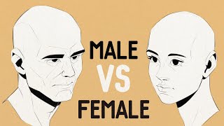 How To Draw Male And Female Faces