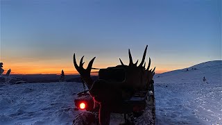 2021 ALASKA MOOSE HUNT MY YOUNGEST SON HARVESTED HIS FIRST MOOSE