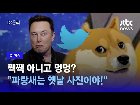 짹짹 대신 멍멍 파랑새 로고가 사라졌다 D 이슈 