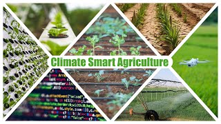 Climate Smart Agriculture The Future Of Farming