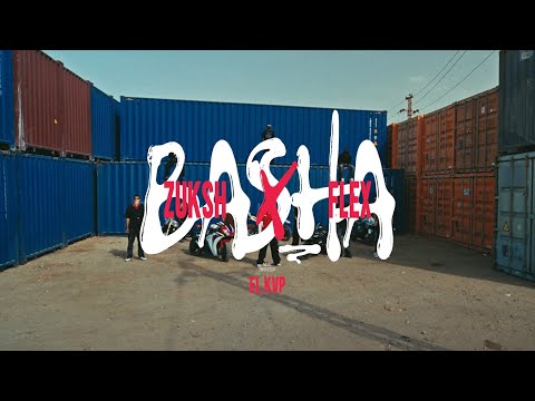 باشا زوكش مع فليكس