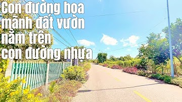 Cô hương không có tiền cho con cái đi du học nên muốn bán gấp mãnh đất vườn để lo cho con cái