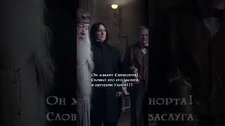 Harry Potter Checkmate, Albus! *and they also say he is a bad teacher... #alanrikman #severussnape