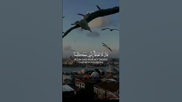 تلاوة خاشعه 💚قران كريم 💚لا اله الا الله 💚