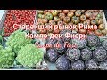 РИМ. Рынок Кампо деи Фиори (Campo de' Fiori). Фонтан Маска на улице Джулия.....