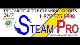 Steam Pro 757-339-9933 Virginia Beach VA