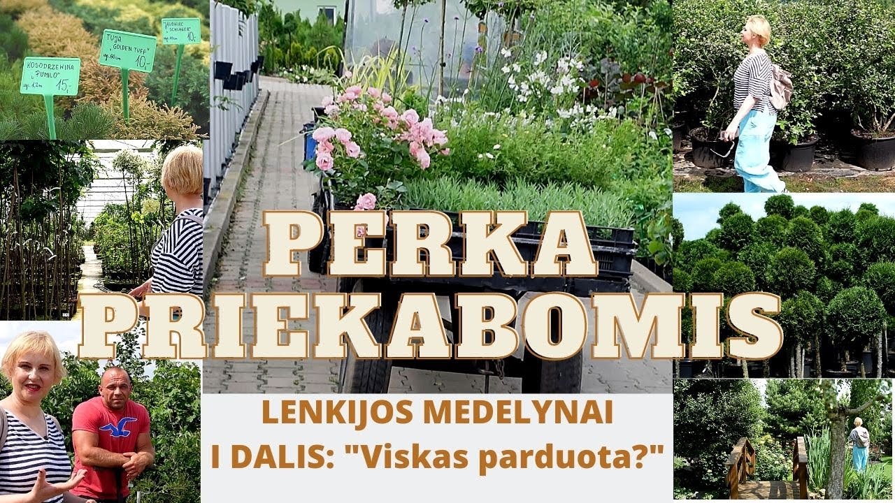Pokarantininiais Lenkijos medelynai: I serija. Šilauogių milžinių miške/Kainos šokiruoja