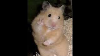 Really don't care - Demi Lovato | speed up