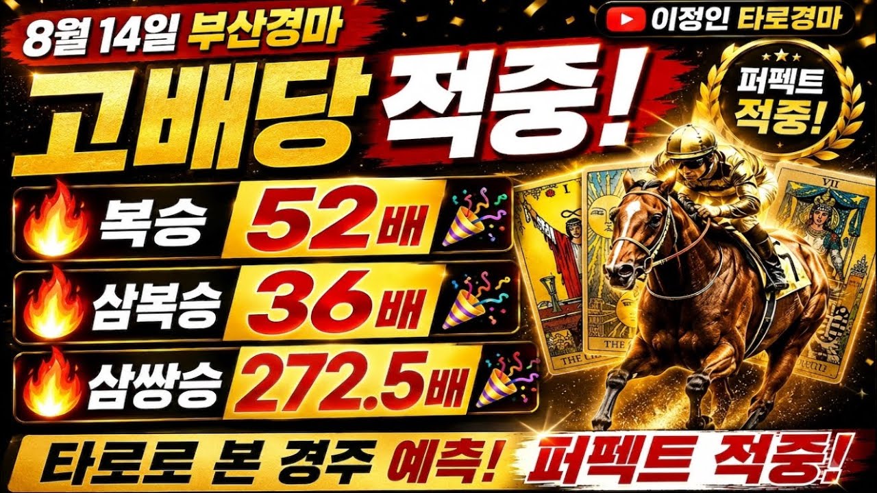 [이정인 타로경마]🔥고배당 적중!🔥삼쌍승 272.5배🎉 179.5배 🎉 260814 부경•제주경마 퍼펙트 적중!