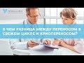 В чем разница между переносом эмбрионов в свежем цикле и криопереносом?