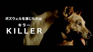 彼の名前は“キラー”　映画『ロードゲーム』＜犬予告!!＞