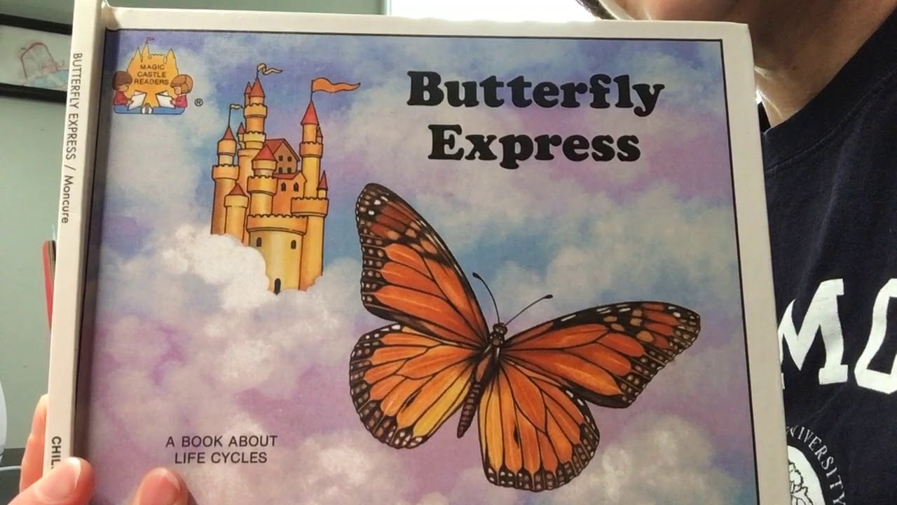 Butterfly Express