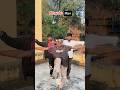 Karate 🥋 Man🤸||Funny Shorts||🤪#shortsvideo #karate #rahulruidas