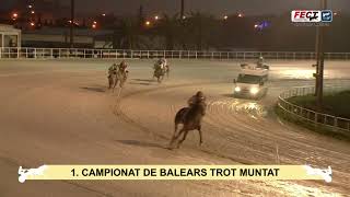 Vidéo de la course PMU CAMPIONAT DE BALEARS TROT MUNTAT