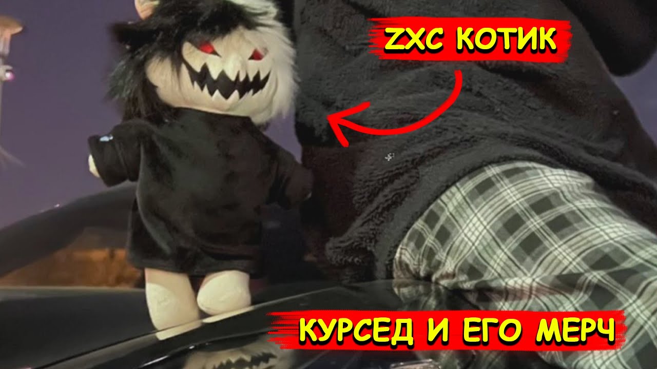 Zxcursed кот