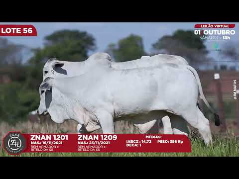 LOTE 56   ZNAN 1201 1209