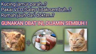 TUTORIAL SUNTIK KUCING || Dosis & Cara Suntik Kucing Terkena Jamur dan Scabies || SEMUA ORANG BISA by Sahabat Meongers 803 views 2 months ago 11 minutes, 5 seconds