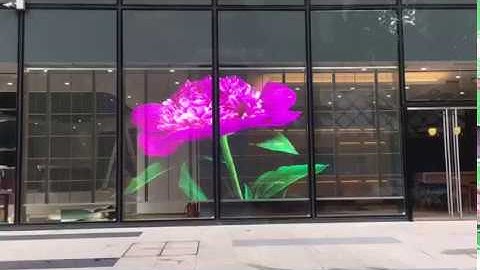 Radiant High Brightness P3.91 Transparent LED Screen