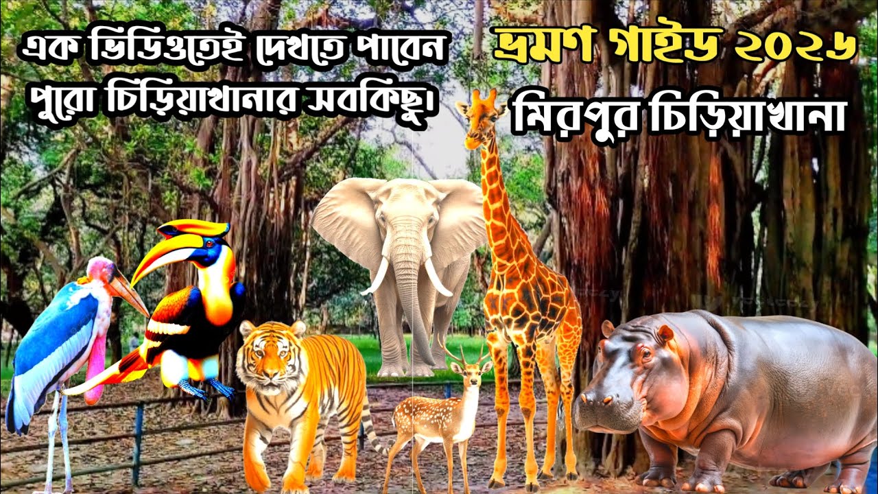 যে জেলখানায় রয়েছে বন্যপ্রাণীরা বন্দী। Bangladesh National Zoo. 