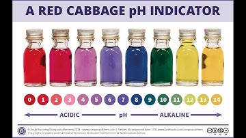 Red Cabbage juice indicator experiment videos to determine pH