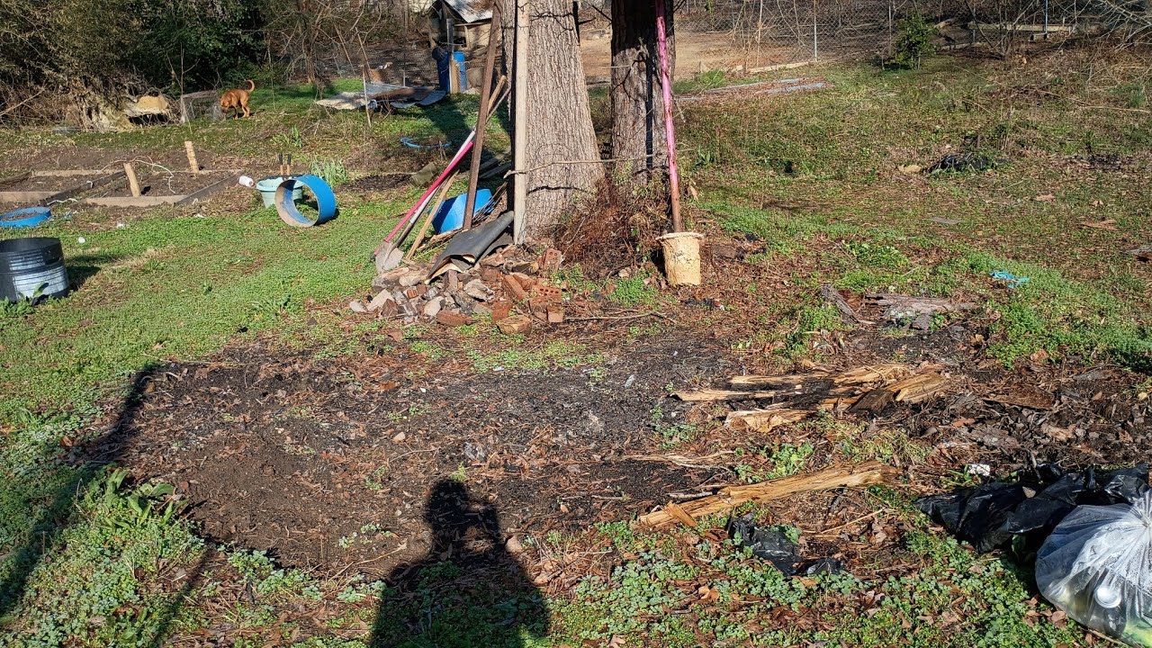 Come join me my YouTube for short vlog #plantguru and see what I got enstored!!