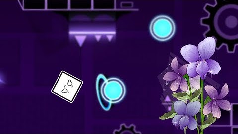 Nautilus - XL Effect Layout