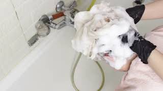 #asmr head washing and massage: a soothing and #relaxing experience#asmrsleep #hairasmr #hairplay