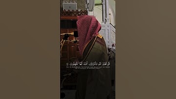 سورة الزمر الشيخ احمد الغامدي #اكسبلور #قرآن #لايك #تلاوة_خاشعة #ترند #راحة_نفسية #مسجد_قباء