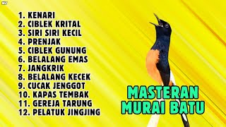 🔴 MASTERAN MURAI BATU GACOR MATERI BURUNG KECIL DAN KASARAN JEDA SEPERTI DI ALAM LIAR || 924