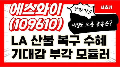 [공략예정] 에스와이(109610) LA 산불 복구 수혜 기대감 부각 모듈러주택 관련주