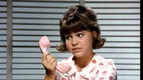 Gidget (1965-1966)