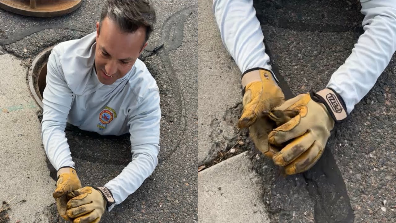 Firefighters in Cheyenne rescue duckling from storm drain - YouTube