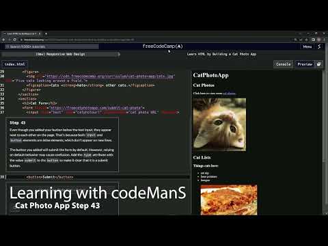 Learn HTML by Building a Cat Photo App - Step 43