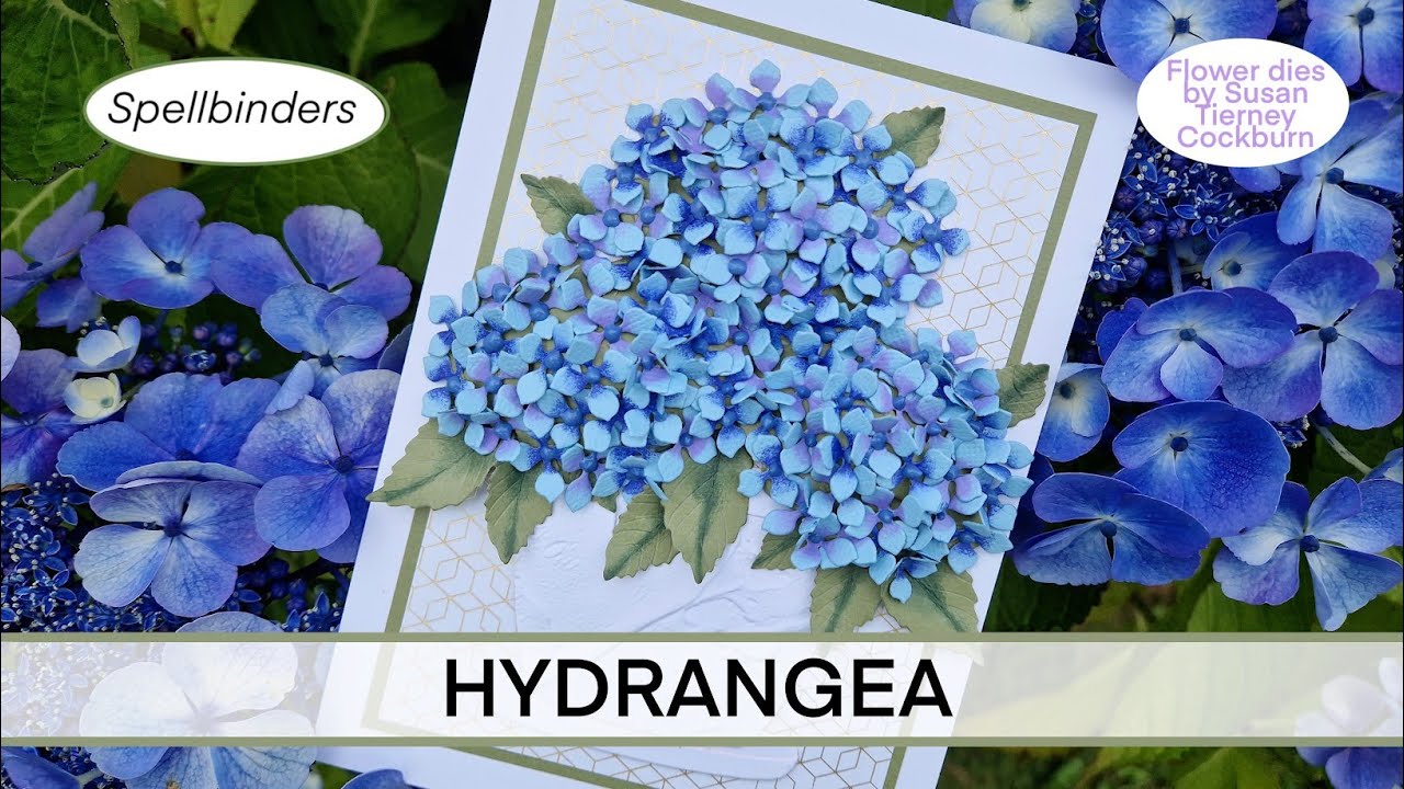 SPELLBINDERS HYNRANGEA from Susan's Nature's Botanical Garden Collection