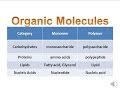 Organic Molecules & Carbohydrates (honors biology) updated