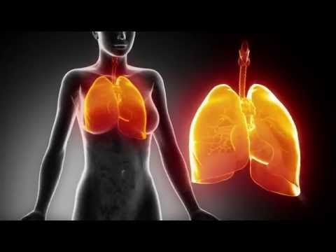 Video: Pneumonie (bacteriană) La Pisici