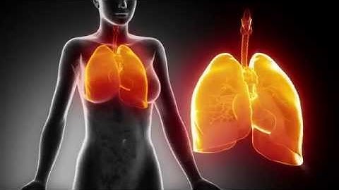 Pneumonia 3D Animation SD
